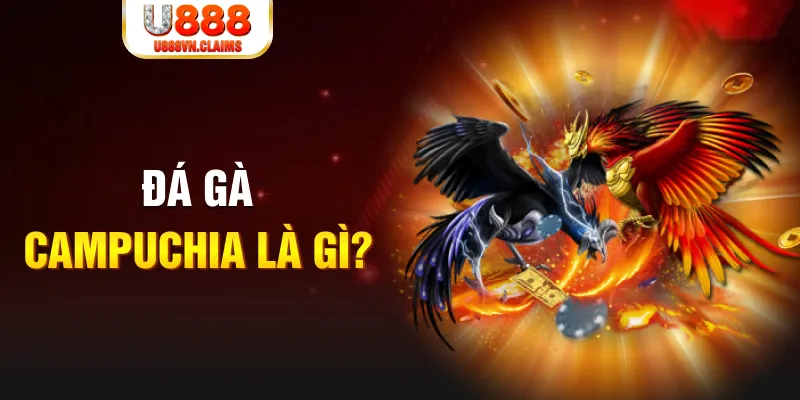vin777app xổ số miền nam thứ sáu
