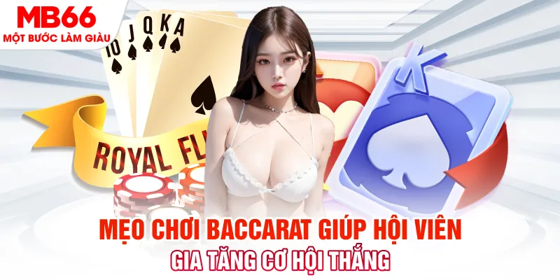 vin777app đá gà 88