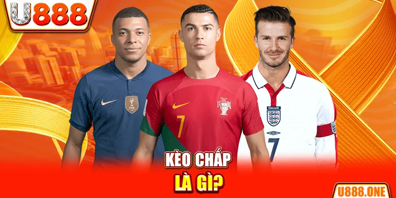 vin777app chổi lông gà