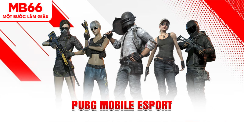 vin777app xổ số minh ngọc – miền nam