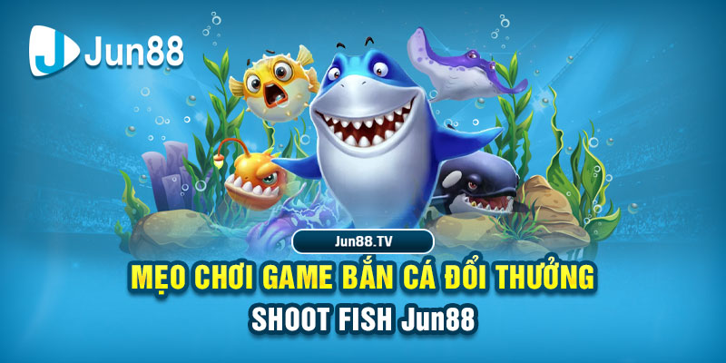 vin777app tai game danh bai bigkool ve may tinh