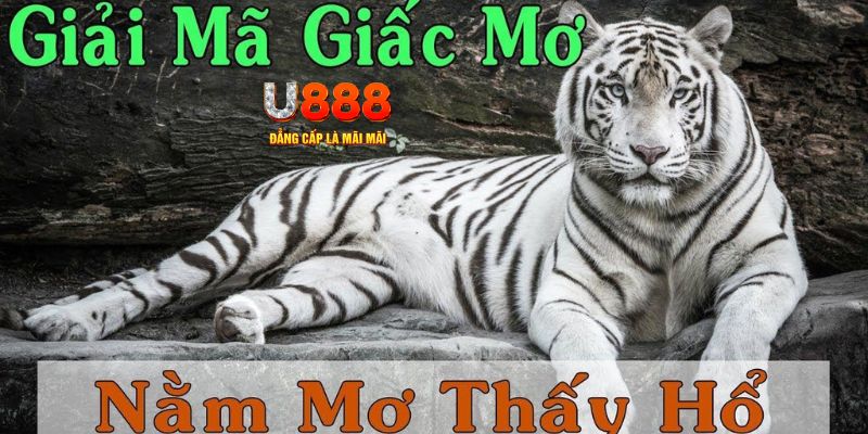 vin777app xổ số kiến thiết miền bắc
