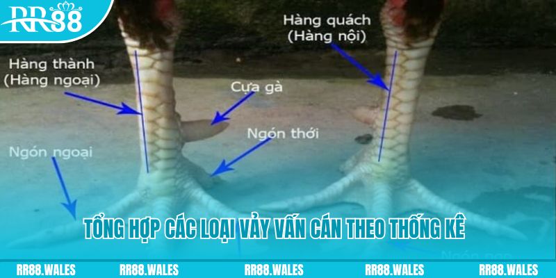 vin777app nổ hũ chơi như thế nào