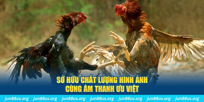 vin777app tai game danh bai ve may tinh