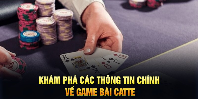 vin777app Trăm người Bo tám Bo chín