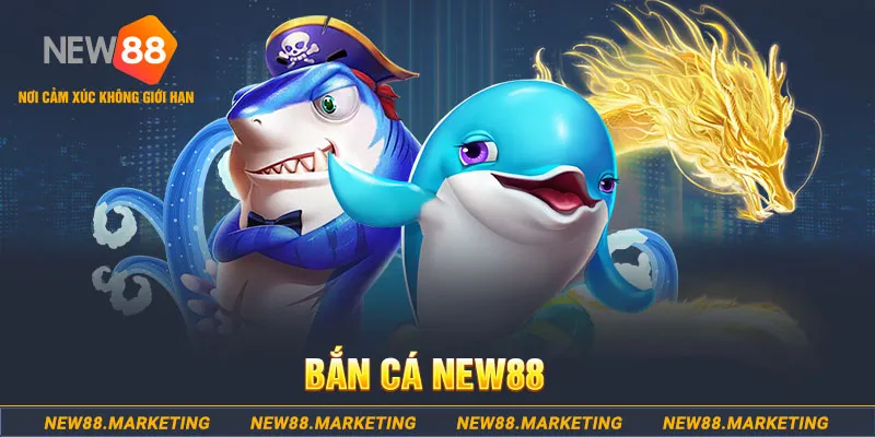 vin777app trong baccarat, ai là người chia bài chính？
