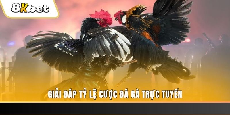 vin777app xổ số ba đài
