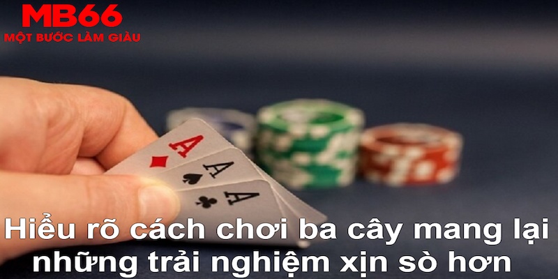 vin777app ÁT CHỦ BÀI GIÀNH LẤY ZHUANG NIUNIU ( XEM 3 LÁ )