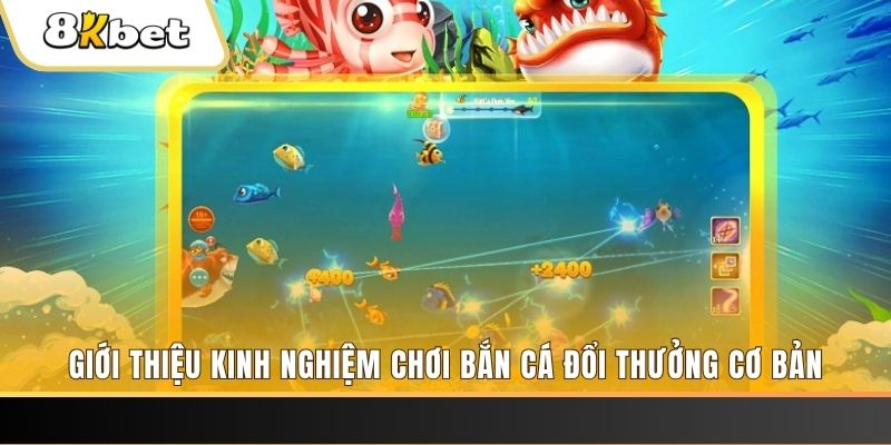 vin777app 8 bí ẩn chơi nổ hũ ít ai biết