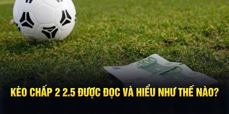 vin777app đá gà thomo