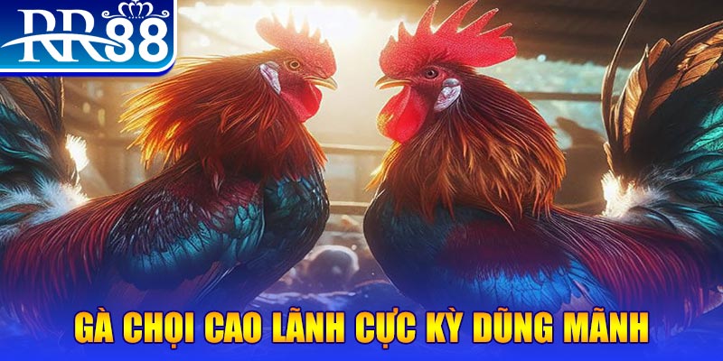 vin777app natural” trong baccarat nghĩa là gì？